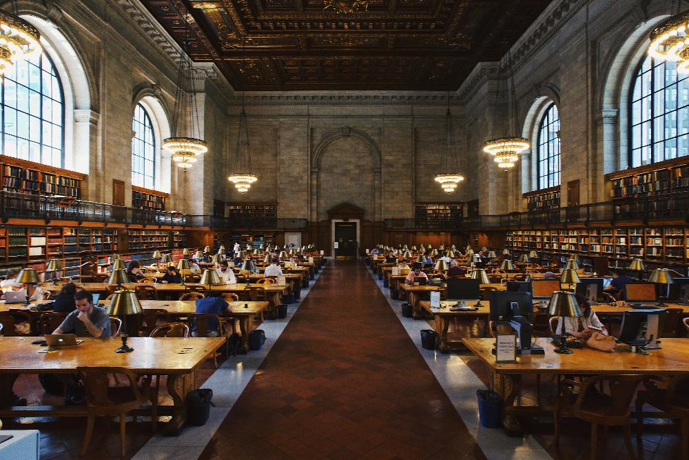 university university